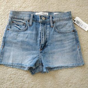 Aritzia denim shorts